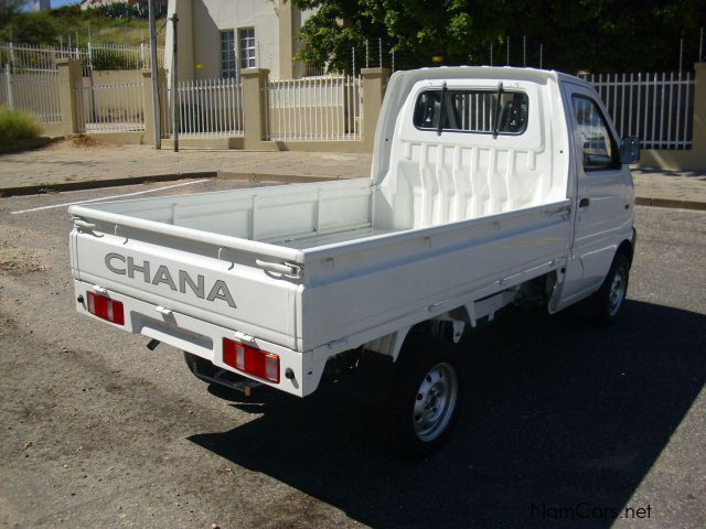 Chana Star in Namibia