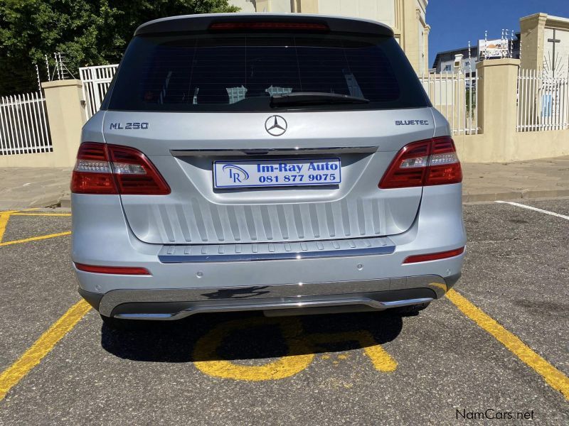 Mercedes-Benz ML 250 Bluetec in Namibia