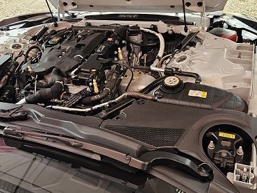 Jaguar F-Type R-dynamic in Namibia