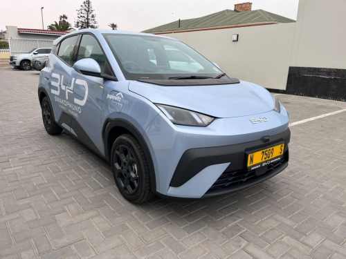BYD BYD Dolphin Surf Comfort in Namibia
